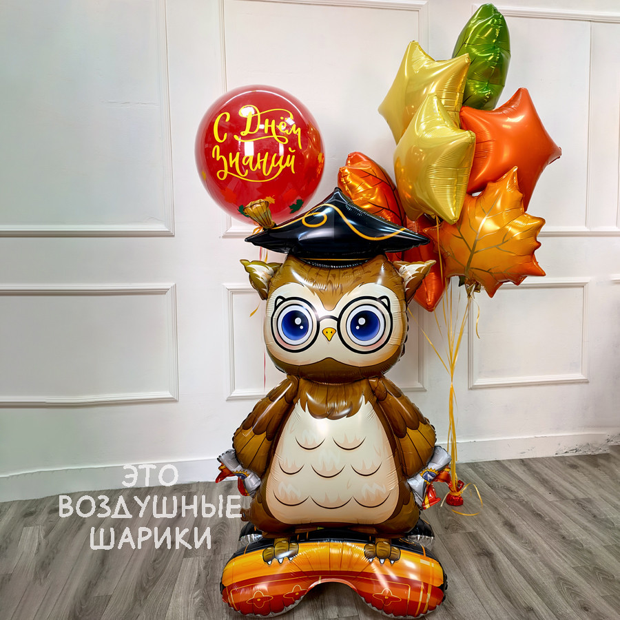 Набор шаров с днём знаний напольная фигура сова и стеклянный шар Фольгированная фигура сова выпускник на подставке крупно Стеклянный шар 46 см прозрачный с надписью с днём знаний Семь фольгированных звёзд желтых красных зеленых в композиции Полный набор с совой для школьной линейки Пермь Стеклянный шар с гелием и сова в фотозоне 1 сентября
