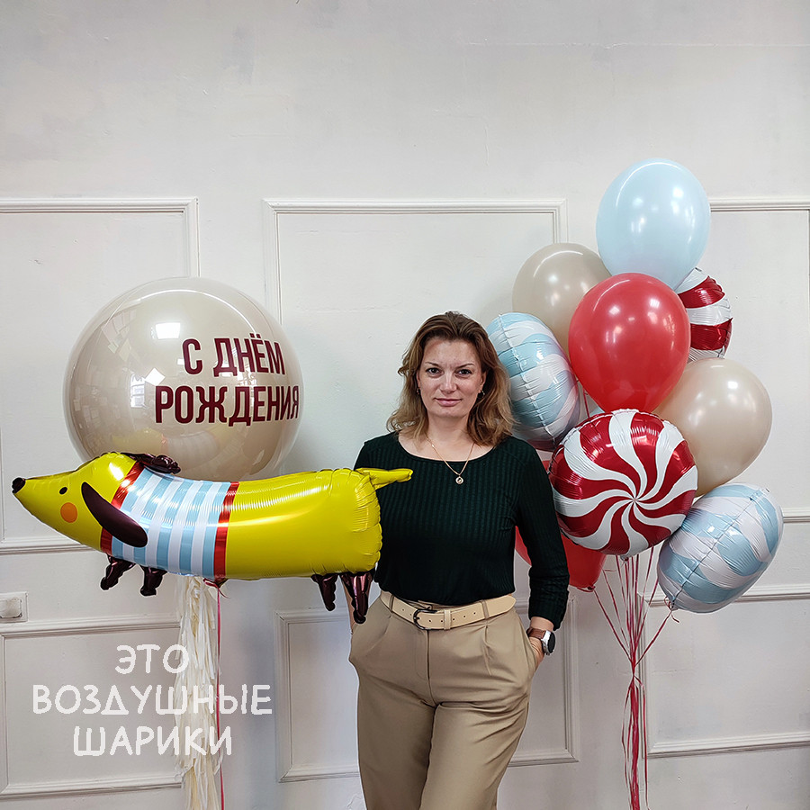 Шары для мальчика с собачкой — изображение 2