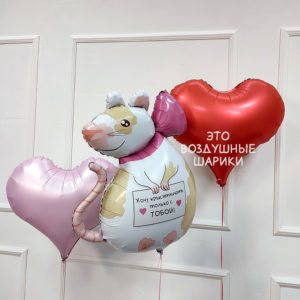 Шары с крыской для девушки