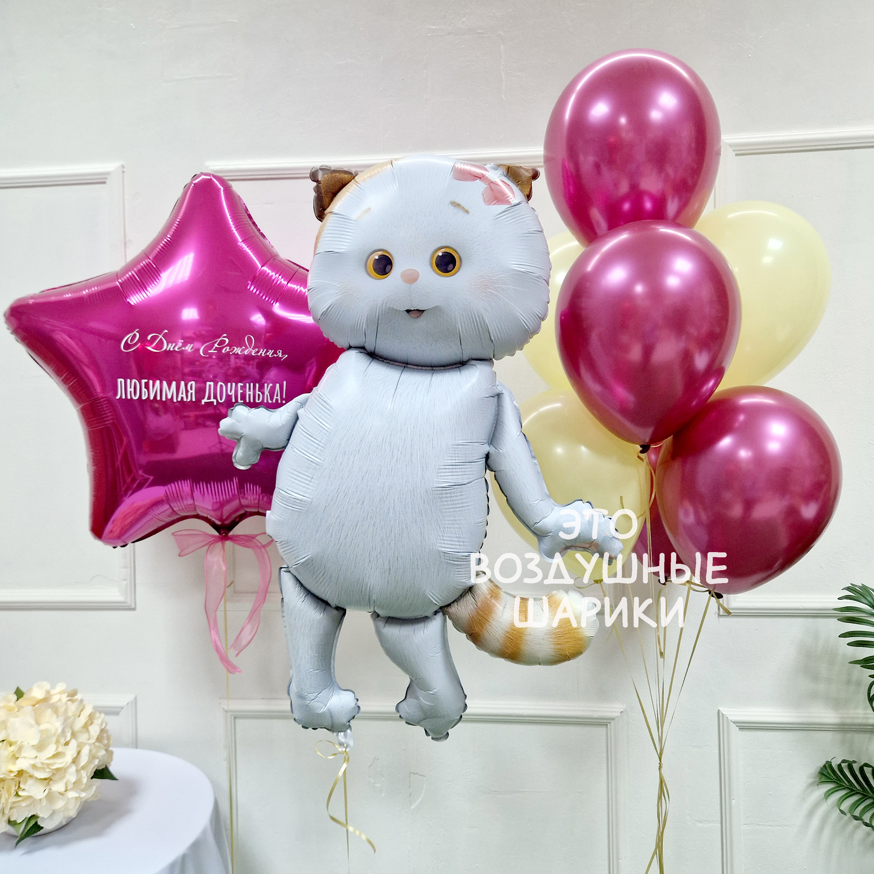 Шары для девочки с кошечкой Ли Ли