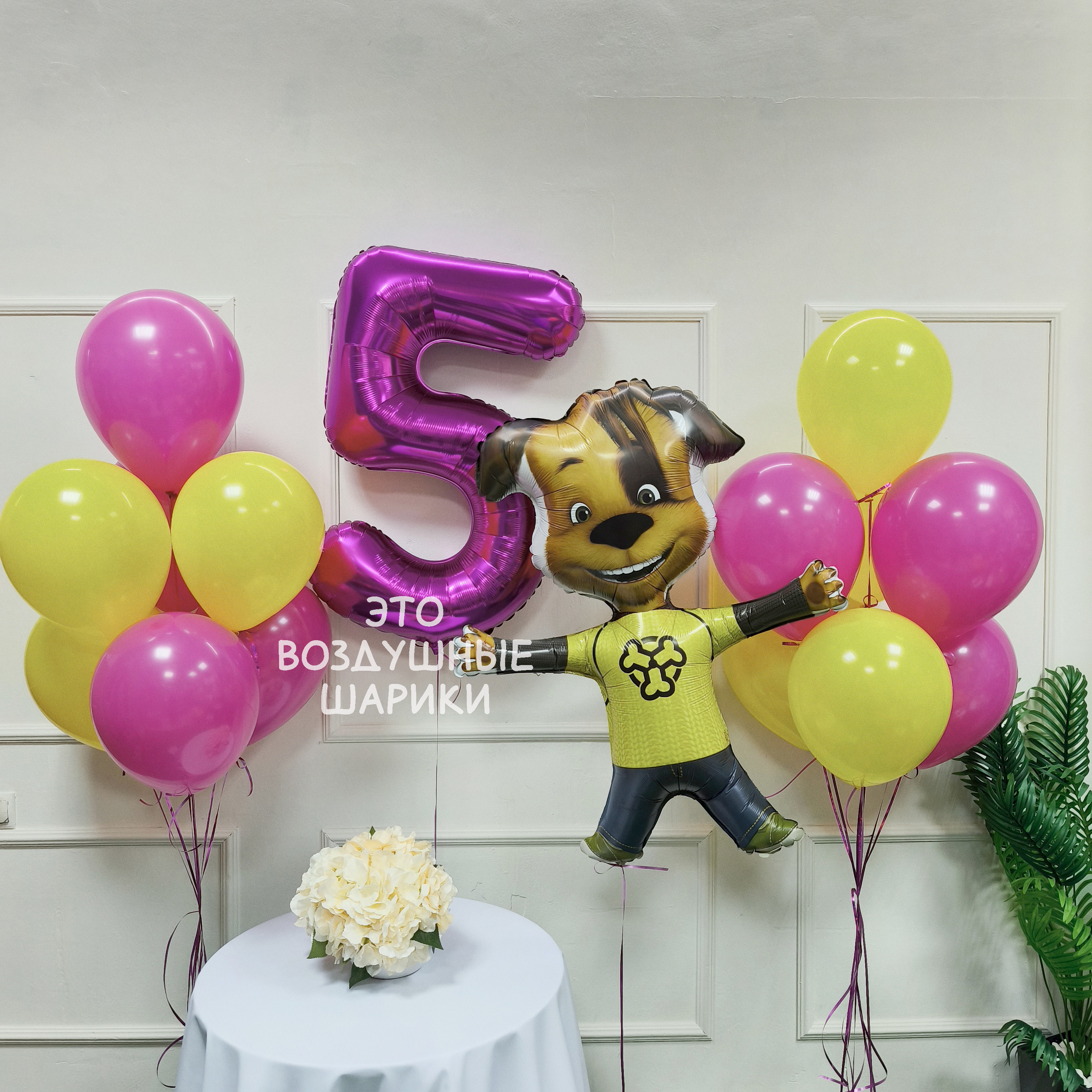 Набор шаров на 5 лет девочке с Барбоскиными Дружок цифра 5 фуксия и фонтаны