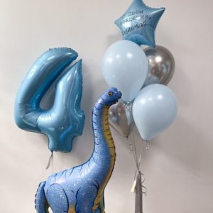 Шары на 4-6 лет