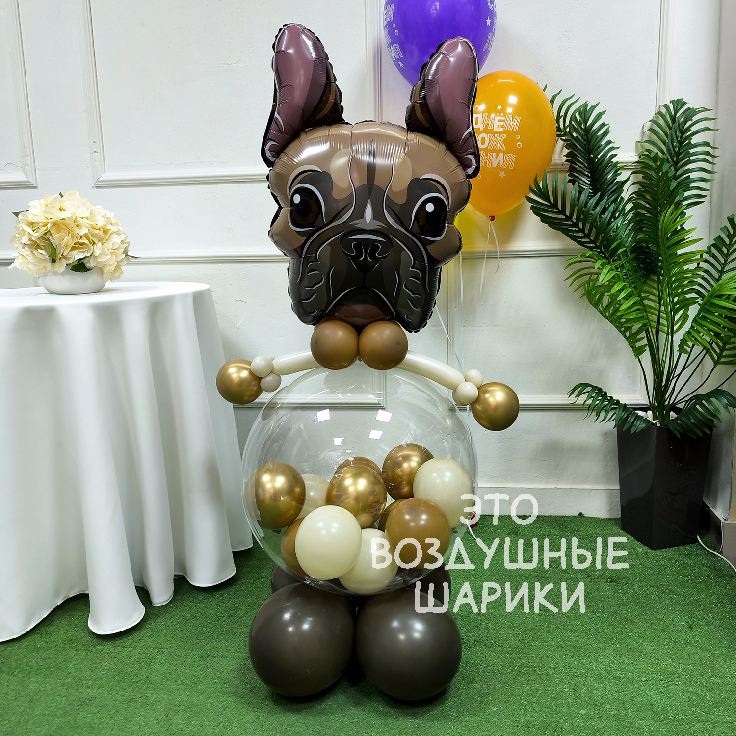 Фигура из шаров собачка бульдог с мини шариками