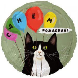 Шар (18"/45 см) Круг ДР Кот и воздушные шары ВЕСЁЛАЯ ЗАТЕЯ