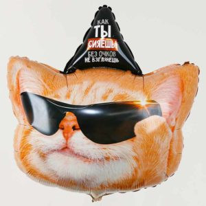 Фигура Кот в очках Ты сияешь