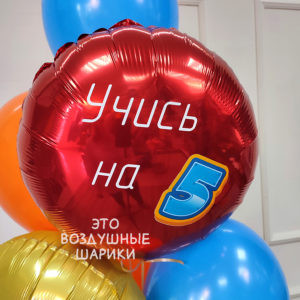 Шар круг (18"/45 см) с надписью "Учись на 5"