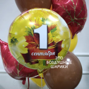 шар круг с 1 сентября