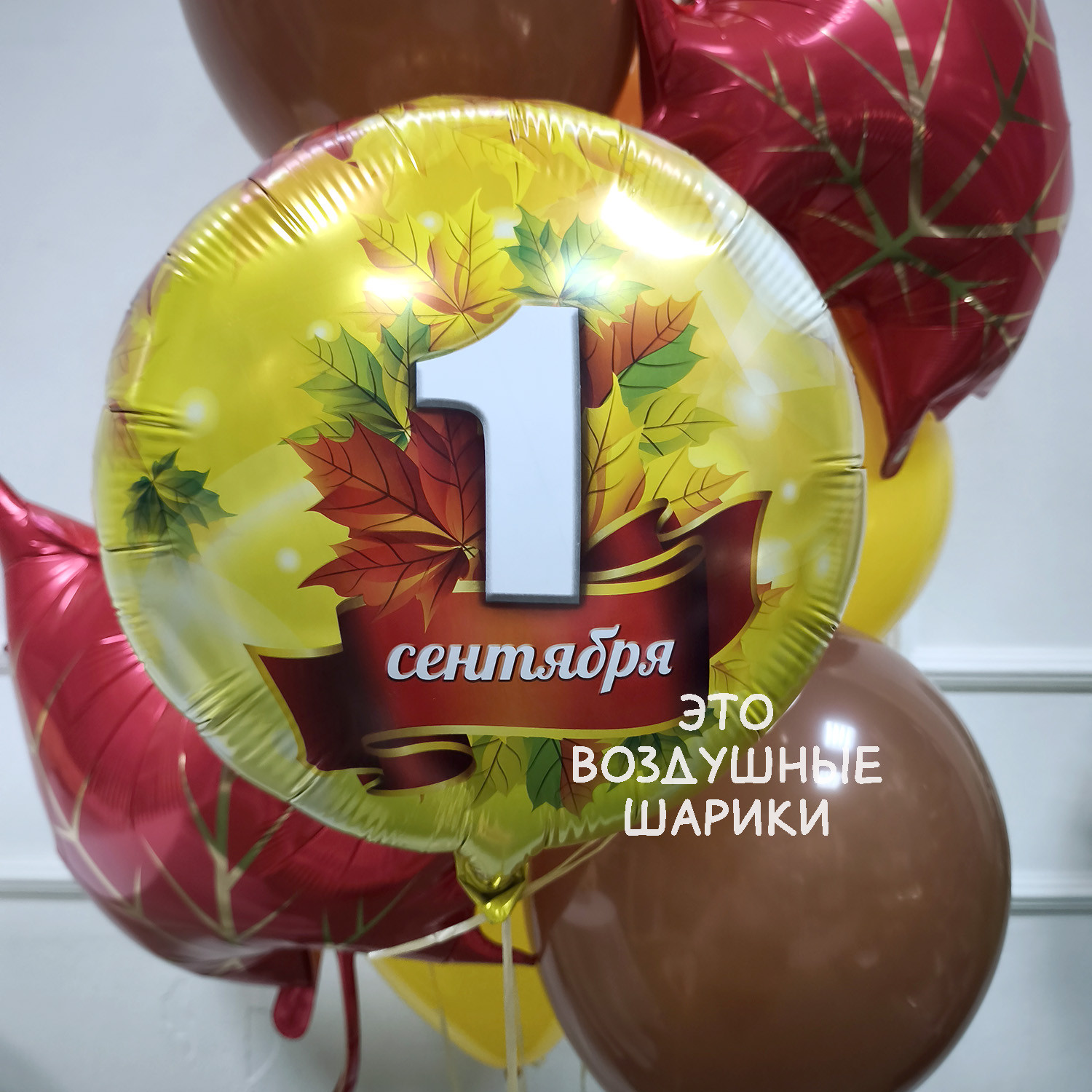 шар круг с 1 сентября