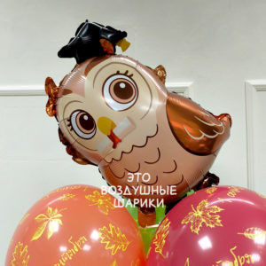 шар фигура милая сова 1 сентября Фигура Сова Выпускник (26"/66 см) 1. Фольгированная фигура Сова Выпускник 66 см в Перми. 2. Шар Сова Выпускник с гелием и доставкой в Перми. 3. Воздушный шар Сова Выпускник на выпускной. 4. Фольгированный шар для выпускного в школе. 5. Шар Сова Выпускник для детского сада. 6. Купить шар Сова Выпускник в Перми. 7. Гелиевый шар Сова Выпускник для фотозоны. 8. Фольгированная фигура выпускника с доставкой по Перми.