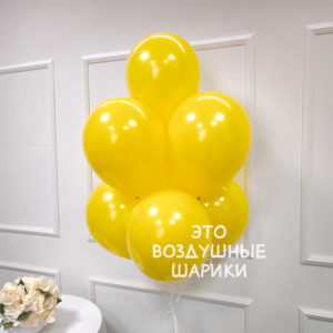 Шар 30 см золотарник EVERT 216
