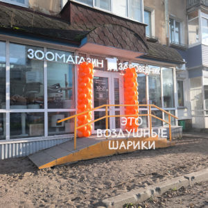 гирлянда из шаров на оформление входной группы